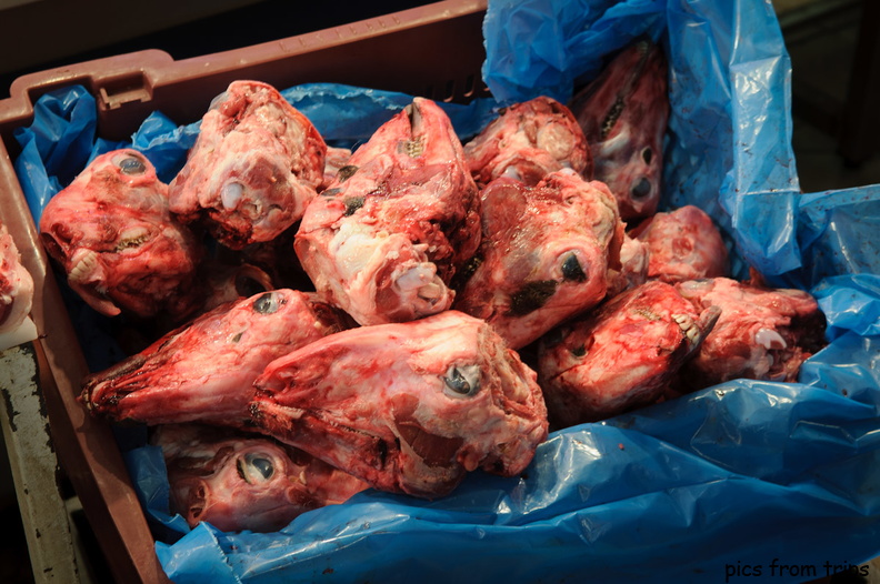 goat heads in a box2010d24c072.jpg